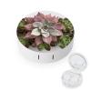 BVKWNTSA Portable Round Succulent Botanical Printed Contact Lens Case is Stylish and Compact, Easy to Carry and Protects Lenses. view 1