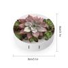 BVKWNTSA Portable Round Succulent Botanical Printed Contact Lens Case is Stylish and Compact, Easy to Carry and Protects Lenses. view 2