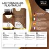 LN Lactobacillus Plantarum | 90 L-Plantarum Capsules - 5 Billion CFU High Strength per Serving | Lactobacillus | Non-GMO, Gluten & Allergen Free | Made in the UK view 2