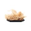 Dried Seaweed Sea Moss, Chinese Sea Vegetable 100g view 1