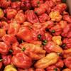 African Bonnet Chillies, Fresh Hot Peppers, 30 Pieces view 1