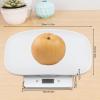 Digital Pet Scale,10KG Automatic Digital Puppies Pet Weight Scale,Multifunction 4 Weighing Units for Weighing Puppy/Kitten/Hamster/Hedgehog/Tortoise/Food view 2