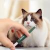 Tick Remover for Cats and Dogs, Tick Tweezers for Pets, Portable Rustproof Tick Pen for Cats, Dogs and People Outdoors, 11.6 x 1.5 cm view 4