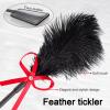 3 Pcs Sex Whip and Crop Set BDSM Whip Leather Horse Crop Feather Tickler for Adults Bedroom Play Sex Play Toys for Couples view 3