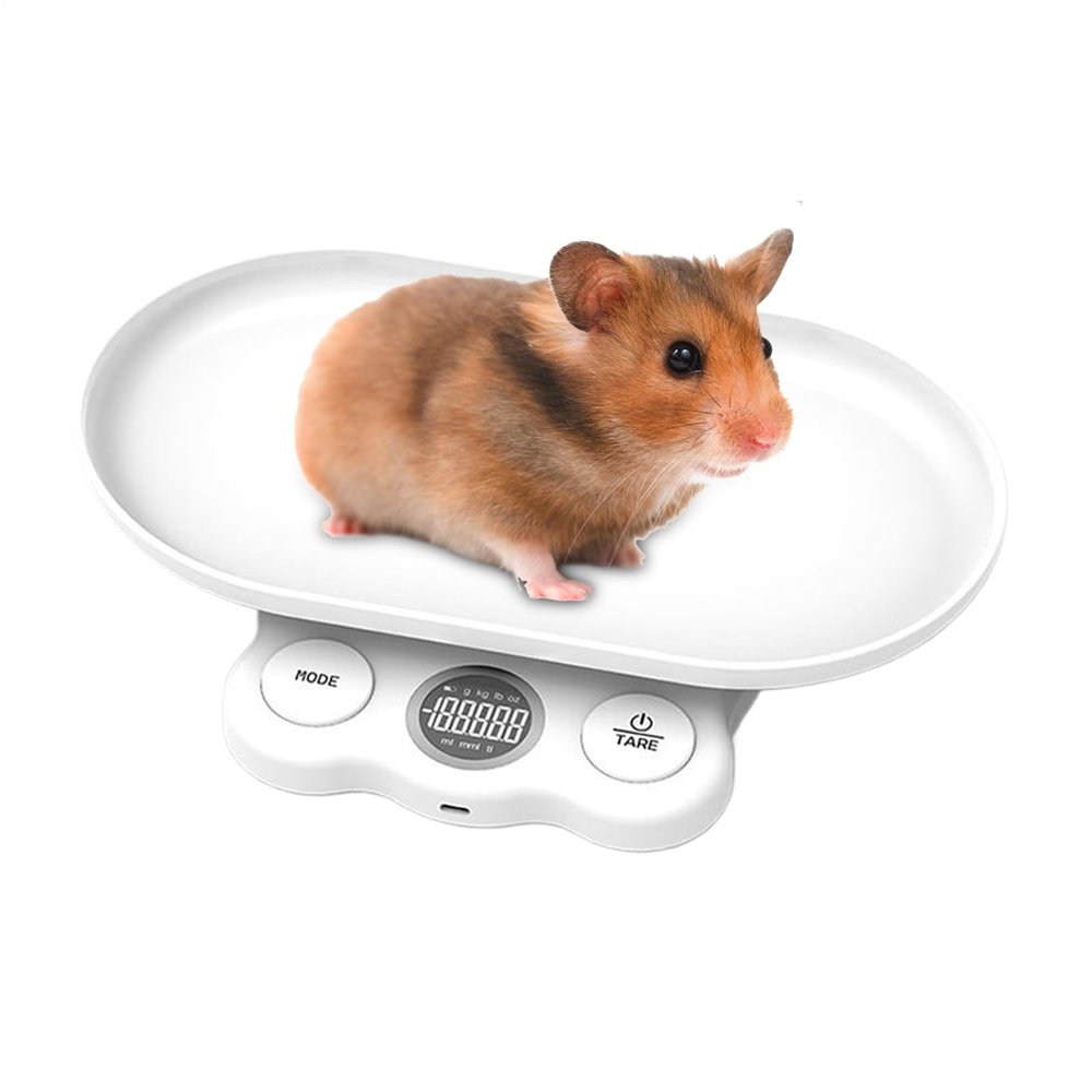 Pet Scales for Cats | Kitchen Accuracy Weighing Tool - Space-Saving Accurate Digital Scale Tool for Puppy Hamster Kitten