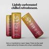 SYFA FLARE Chilli Zest 6-pack, Caffeine Free, Natural Nootropic Drink, Mood Lifting, Social Confidence Booster, 250ml per bottle. view 4