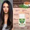 Morsan Healthcare Fenugreek Capsules 500mg | Pack of 4 x 60 Vegetarian Capsules | Natural Herbal Supplement for Wellness & Vitality | Trigonella Foenum-Graecum | GMP Certified & Gluten Free view 3