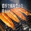 Japanese Grilled Eel (Unagi Kabayaki) Frozen Pack of 2, Sweet Soy Sauce, Ready to Eat view 3