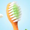 Cartoon Carrot Manual Toothbrush, Soft Bristle Toothbrush, Travel, 22.5x6x3cm, Lightweight and Compact, Encourages Healthy Brushing Habits for Daily Use view 3