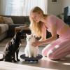 Digital Pet Scale Precision Weighing Tool for Animal view 2