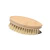 Zymoplas Shoe Washing Brush Oval Shaped Short Handle Wood Cleaning Tool Kitchen Bathroom Supplies Useful Vegetable Scrubber view 1