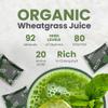 3 Day Superfood Juice Detox | Colon Cleanse | Juice Cleanse | High Nutritional | Energy | Immune System | Body Cleanse | Digestion | Healthy Hair & Skin | 30 Shots Frozen | Britt's Superfoods view 4