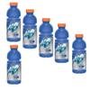 Sports Drink, 591ml bottled drinks | Gade (6 Cans, Grape) view 1