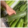 1000pcs Vegetable Sleeve Bag, Straight Protective Film For Melons And Fruits With Opening At Both Ends, Loofah Insect Protective Bag(Width 9cm) view 2