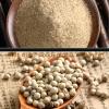 JOIYSVEN White Pepper Powder | Catering Grade Seasoning | Pure Natural and No Additives | Suitable for Cooking, Baking and Marinating Meat (300g) view 4