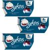 Luxury Greek Yogurt pots 12x110g - OYKOS (Blueberry)