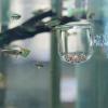 Aquarium Plant Cup Acrylic Water Plant Carrier with Suction Cup Fish Tank Stand Aquatic Plants Multipurpose Decoration Smooth Transparent Design for Freshwater Salt Water Aquarium view 4