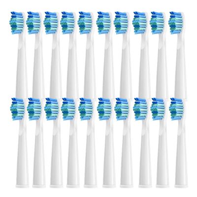 5/10/20Pcs Electric Toothbrush Replacement Heads, Compatible for SEAGO SG910/507/958/515/949/575/551(White-20pcs)