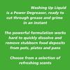 Ellbow Grease Washing Up Apple Fresh Liquid 600ml view 4
