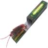 5PCS Roaches Prank Chewing Gum Spoof Cockroach Head Toys Gadget Insert Fake Practical Joke with Package Realistic Shocking Pull Trick Novelty Adult Funny Halloween Fool's Day Party Favors view 1