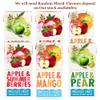 Random Mixed Fruit Flavour Water Variety Pack Apple & Pear, Mango & Summer Berries 200ml Juice Drink Cartons No Added Sugar - cwp (18 x Pack, Random Mixed Fruit Water) view 2