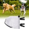Dog Safety M Ask, Mesh Pet Head Protector, Breathable Zipper Design, Lightweight And Portable Net Cover, 30x21x20cm For Small Dogs Dachshunds view 3