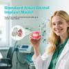 Dental Implant Teeth Model with Removable Resin Teeth & Soft Gum for Oral Surgeons, Dental Students Practice view 4