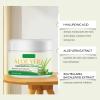 Aloe Vera Facial Hair Removal Cream, Gentle Depilatory Cream for Face, Upper Lip, Chin, Bikini Area, Body & Sensitive Skin, Soothing Moisturizing Painless Hair Remover Cream (3PCS) view 3