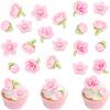 24Pcs Pink Cherry Blossom Cupcake Toppers Resin 2D Flowers Cake Decorations view 1
