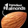 Dark Chocolate Nuts & Sea Salt, High Fibre Healthy Snack 40g (Pack Of 24) "Serving up some sweet happiness." For All Occasions view 4