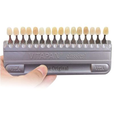 Dental Shade Guide, Teeth Whitening Shade Guide, Professional Dental Whitening Shade Guide with 16 Colors, Dental Teeth Shade Guide Color Tracking Chart Oral Care Dentist Tools