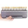 Dental Shade Guide, Teeth Whitening Shade Guide, Professional Dental Whitening Shade Guide with 16 Colors, Dental Teeth Shade Guide Color Tracking Chart Oral Care Dentist Tools