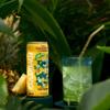 Coconut Water Drink 24 x 320ml Mixed Variety Pack | Isotonic Coconut Drink | Naturally Hydrating & Refreshing | No Additives & No Added Sugar | Gluten Free, Dairy Free & Vegan view 4