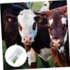 Veemoon 2pcs Cow Pregnancy Test Paper for Livestock Farm Supply Animal Early Pregnancy Test Strips for Livestock Pregnant Testing Tool view 4