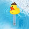 float thermometer - Water Temperature Gauge | pool heat measuring strings | Digital Pool Thermometers | Water Temperature Gauge with String | best for Swimming Pools Ice Baths Hot Tubs Cold Tubs Pon view 4