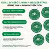 NAD Patches 90PCS, NAD Supplements with NMN & Resveratrol, Anti-Aging, Cellular Repair, NAD+ Production, Vegan, Cruelty Free, Paraben Free view 3