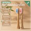 BAMBUNA Replacement Brushes for Philips Sonicare Sonic Toothbrush, Bamboo Brush Head, Medium Soft Toothbrush Heads for Sonicare Toothbrush, Made in Germany (Blue/Pink, Set of 6) view 2