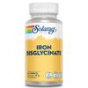 Solaray Gentle Iron Bisglycinate 25mg - 60 Vegan Tablets - High Strength Iron Supplement for Energy Support for Men & Women - with Added Alfaalfa Herb and Yellow Dock Root - Lab Verified view 1