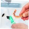 ARTSEWPLY Denture Brush Toothbrush 3pcs Set Mini Double-Head Portable Small Multi-Functional Cleaning Brush for Personal Oral Care Household Use view 4