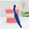 WEKAMOS Denture Toothbrush and Nylon Bristles 2pcs for Denture Cleaning Double Sided with Ergonomic Handle and Oral Care Cleaning at Home view 2
