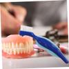 WEKAMOS Denture Toothbrush and Nylon Bristles 2pcs for Denture Cleaning Double Sided with Ergonomic Handle and Oral Care Cleaning at Home view 4