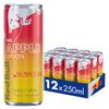 Red Bull Winter 2025 Edition 250ml 12pk view 1