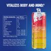 Red Bull Winter 2025 Edition 250ml 12pk view 3