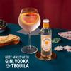SEPOY & CO. Spiced Grapefruit Tonic Water - 24 x 200ml | Low Calorie, Less Sugar | Pure Himalayan Water & 100% Natural Ingredients | Premium Gin & Tonic Mixer view 2