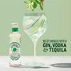 SEPOY & CO. Elderflower Tonic Water - 24 x 200ml | Low Calorie, Less Sugar | Pure Himalayan Water & 100% Natural Ingredients | Elderflower sourced from UK view 2