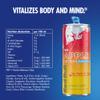 Red Bull Winter Edition Sugar Free 355ml x12 view 3