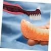 DEARMAMY 6pcs Double Sided Denture Brush with Non Slip Handle for Seniors Hard Bristle False Teeth Cleaner for Daily Oral Care and Gum Massage Convenient Home Use view 3