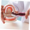 DEARMAMY 6pcs Double Sided Denture Brush with Non Slip Handle for Seniors Hard Bristle False Teeth Cleaner for Daily Oral Care and Gum Massage Convenient Home Use view 4