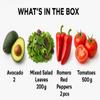 Salad Box 2 | Fresh Veggies | Avocado | Mix Salad Leaves | Romero Red Peppers | Tomattoes | view 2