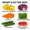 Salad Box 4 view 2